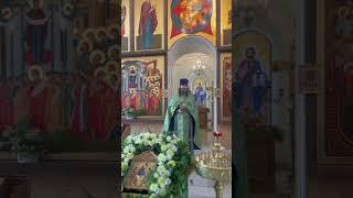 ДЛЯ ЧЕГО НУЖНО ИДТИ В ЦЕРКОВЬ? #православие #церковь