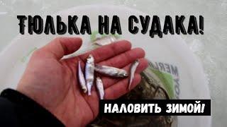 Тюлька на судака! Наловить зимой!