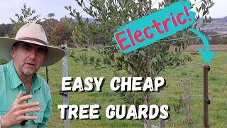 Fast Tip: Use Your Fence as a Tree Guard!