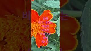 #구독 #드림찬양선교방송 #방근숙찬양tv #복음 #선교 #열방 #유튜브방송 #010 7149.2120