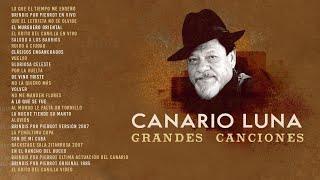 Canario Luna - Grandes Canciones