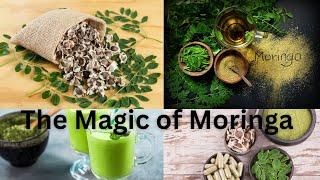 The Magic of Moringa: Uncovering the Many Health Benefits and Uses of the Miracle Tree