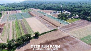 Deer Run Farm Tour - 30 Acres On Long Island, New York