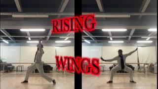 Rising Birds (Tai Ji Quan) #artmartial #artmartiaux #art #artist #artwork #arts #artoftheday