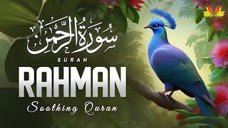 Surah Ar-Rahman سورة الرحمان | Beautiful and Heart trembling Quran recitation by ( Tilawat Q Qasmi )