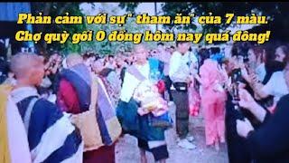 953.11: Phản cảm với sự " tham ăn" của 7 màu.Chợ quỳ gối 0 đồng hôm nay quá đông!