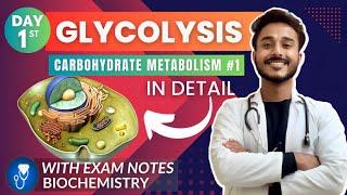 glycolysis biochemistry | carbohydrate metabolism biochemistry | glycolysis pathway biochemistry