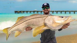 48 Hours Chasing GIANTS From The Beach! (Florida Mullet Run 2024)