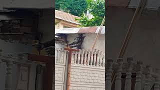 Реалити шоу.Голод2Рубцова  