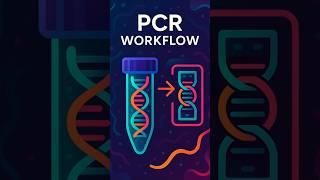 Power Up Your first PCR Workflow #scienceshorts #short #molecularbiology #science
