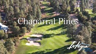 Chaparral Pines Real Estate Guide with Dennis Riccio