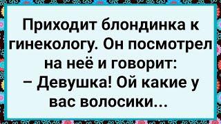 Как к Гинекологу Блондинка Пришла! Большой Сборник Свежих Смешных Жизненных Анекдотов!