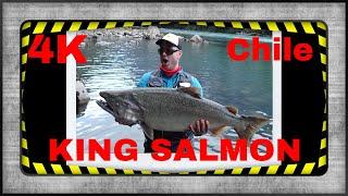 Ultimate Patagonia Fishing Expedition: Conquer The King Salmon!