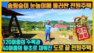 [매물번호 874] 푸른 하늘 아래 국유지 송림숲이 둘러싼 자리! 120여종의 수목과 사계절 돌아가면서 피어나는 40여종의 화초로 채워진 정원 속 전원주택