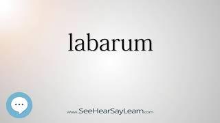 labarum - Smart & Obscure English Words Defined ️