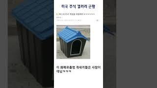 미국주식 갤러리 근황 #shorts
