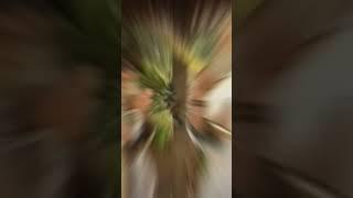 Krishna & Parshurama | Sudarshan Chakra