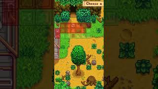 When You Place Buildings In Stardew Valley...