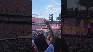 These 2 snuck into Taylor Swift for the best bird's eye view. 