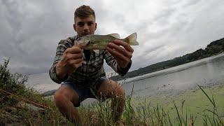 Caught AMERICAN Bass in East Asia (South Korea)