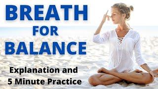 5 Minute Breathing Practice for Balance & Stress | Breathing Meditation | Breathing Exercises