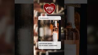 Как правильно хранить вино? #vitispro #shorts