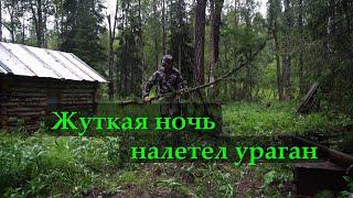 A STRONG HURRICANE FELLS TREES. IT'S SCARY IN THE HUT.LARGE GRAYLING.