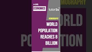 Global Population Reaches 8 Billion!