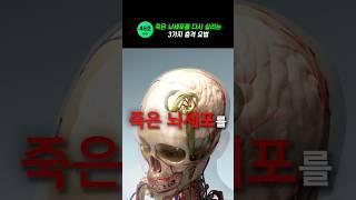 죽은 뇌세포를 다시 살리는 3가지 충격 요법 #건강 #뇌건강 #뇌세포 #뇌혈관 #뇌혈관질환 #뇌졸중