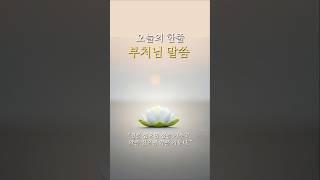 내일을 바꾸는 부처님의 한줄 말씀 #부처님말씀 #법구경 #불교 #좋은글