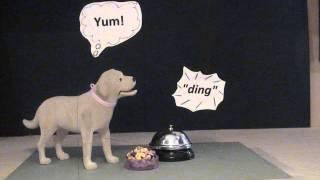 Pavlov's Dog for the classroom (claymation)