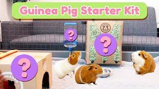 Guinea Pig Care Starter Kit for Beginners: The Essentials | GuineaDad