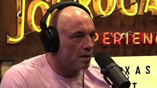 Joe Rogan Repeated "Brigitte Macron is a man" on his podcast