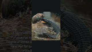 "Purussaurus: The Amazon’s Prehistoric Giant!"#extinct #prehistoric #scary #dinosaur