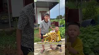Khi em trai tôi xem vũ trụ Brainrot quá 180 phút | Tippi Vips  #tippitv #tippivips