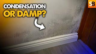 Is This Condensation or Rising Damp?