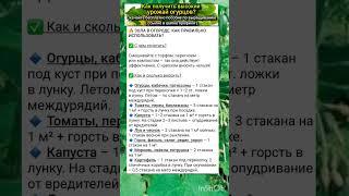 внесение золы в огороде основные правила.