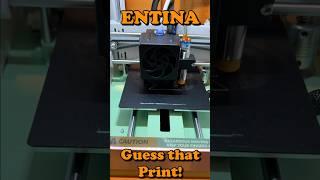 Guess that Print! Entina Tina 2 Plus Tinkercad project challenge