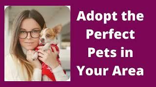 Get Personalized Pet Matches - Free Classified Ads - Petsotopia  #pets#puppies