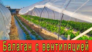 Балаганы с вентиляцией