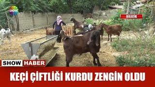 Keçi çiftliği kurdu zengin oldu!