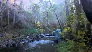 Angeles National Forest