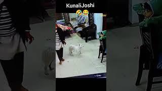 Kunali Ka Dance  sourav Joshi vlogs