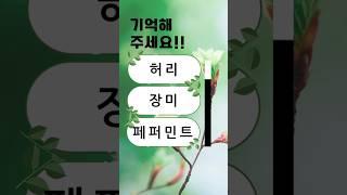 치매예방퀴즈 #korean #치매예방 #재미있는 #두뇌 #퀴즈 #한국어