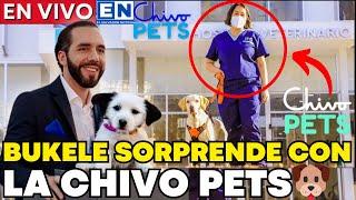 ¡Nayib Bukele lo hizo de nuevo!  Reabre CHIVO PETS y desata el caos en EL SALVADOR Noticia