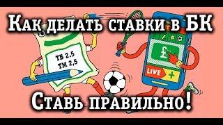 Как делать ставки в букмекерских конторах и выиграть?