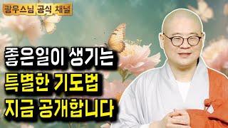 일주일만 기도하고 그렇게나 좋은일이?! | 광우스님 소나무법문시즌3 179회