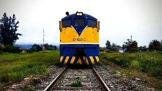 Tren Del Recuerdo Expo Miel Especial El Monte| Locomotoras D-16012/05  Tracción alco 7 vagones