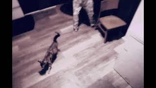 FxGuru Video - shooting - full movie