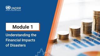 Module 1: Understanding the Financial Impact of Disasters | UNDRR